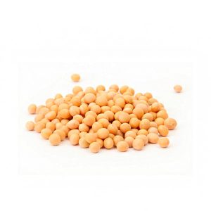 garbanzo-pequen%cc%83o_leon